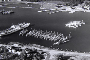 Bilde av Framnesveien ved Huvik.